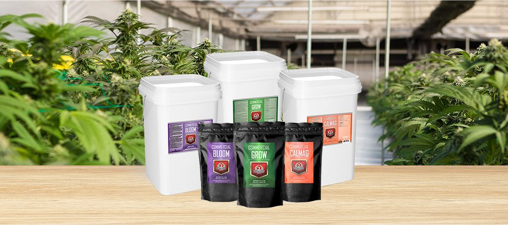 House & Garden Dry nutrients for commercial cannabis cultivators. For professional growers of marijuana. Commercial Cannabis grow equipment and services