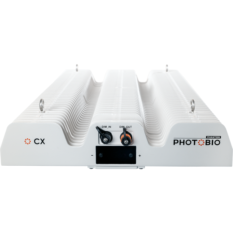 PHOTOBIO CX 680W Top Light end view