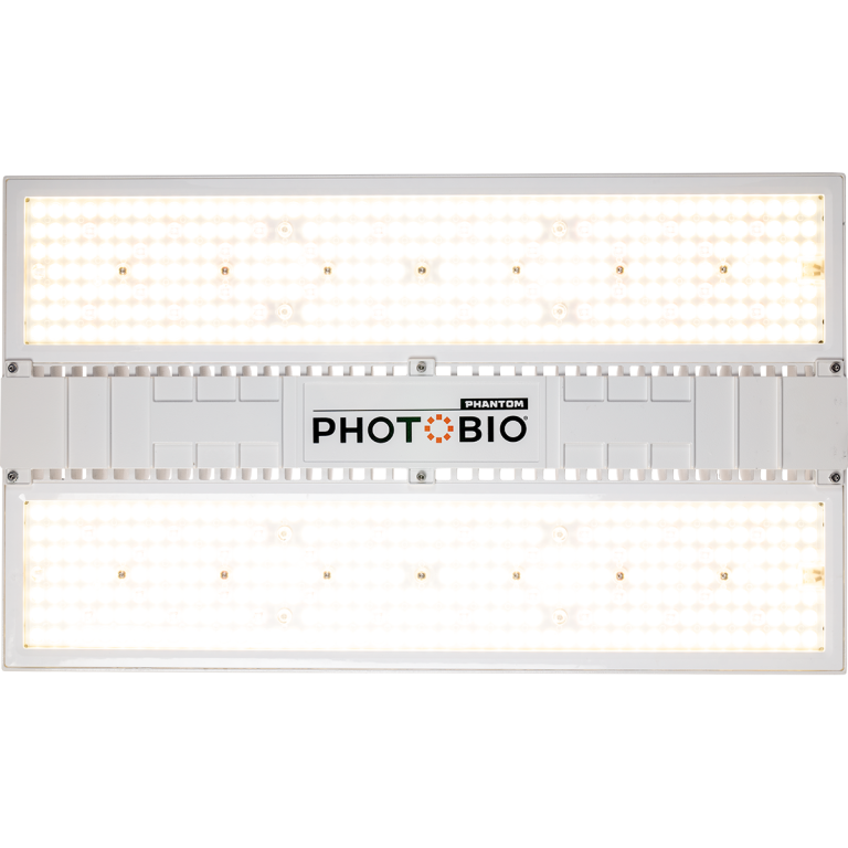 PHOTOBIO CX 680W Top Light straight view - on